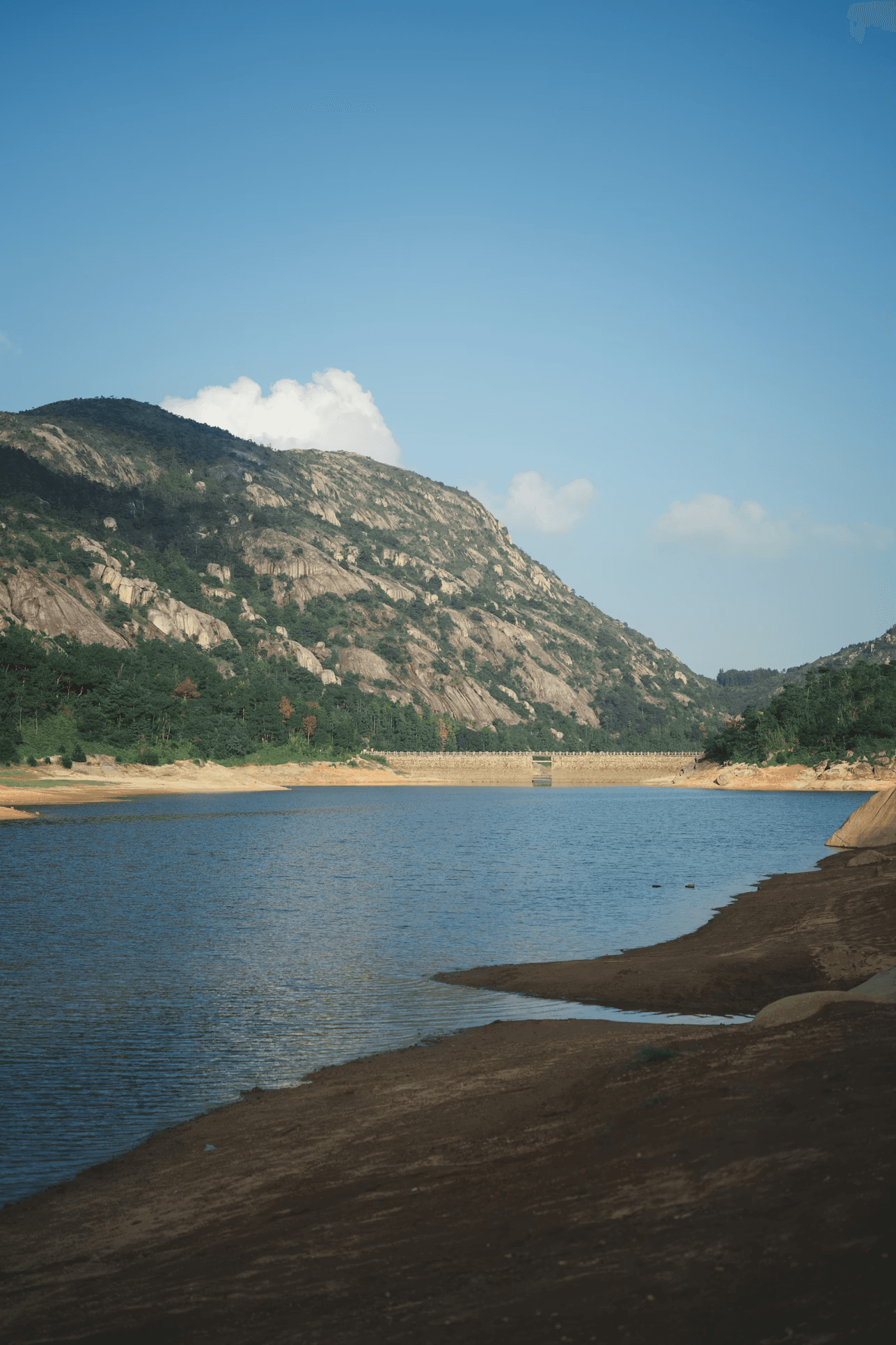 Smart Irrigation Dashboard